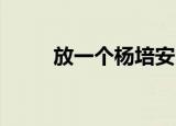 放一个杨培安（左边右边 杨培安）