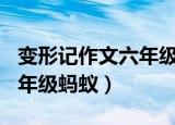 变形记作文六年级蚂蚁600字（变形记作文六年级蚂蚁）