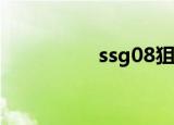 ssg08狙击步枪（ss g）