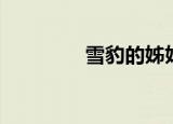 雪豹的姊妹篇（雪豹后传）