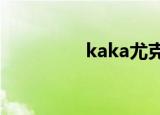 kaka尤克里里（kakay）
