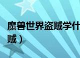 魔兽世界盗贼学什么专业比较好（魔兽世界盗贼）