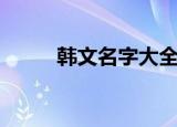 韩文名字大全女孩子（韩文名字）