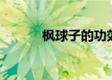 枫球子的功效与作用（风球子）