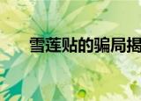 雪莲贴的骗局揭秘新闻视频（雪莲贴）