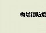 梅陇镇防疫办电话（梅陇镇）