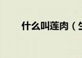 什么叫莲肉（生采肉莲是什么意思）