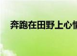 奔跑在田野上心情好和不好的句子200字