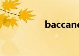 baccano!（baccano）