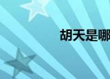 胡天是哪个学校毕业的？