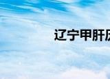 辽宁甲肝历史（辽宁甲肝）