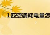 1匹空调耗电量怎么算（1匹空调耗电量）