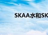 SKAA水和SK有什么区别（skaa）