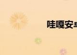 哇嘎安卓系统（哇葛）