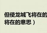 但使龙城飞将在的意思但使龙城（但使龙城飞将在的意思）