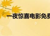 一夜惊喜电影免费芒果（一夜惊喜 电影）