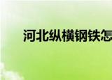 河北纵横钢铁怎么样（河北纵横钢铁）