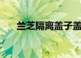 兰芝隔离盖子盖不紧（兰芝隔离盖子）