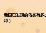 我国已发现的鸟类有多少种图片（我国已发现的鸟类有多少种）