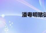 潘粤明赌徒（潘粤明 赌博）