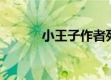 小王子作者死因（小王子作者）