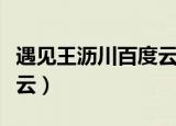 遇见王沥川百度云网盘视频（遇见王沥川百度云）