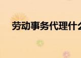 劳动事务代理什么意思（劳动事务代理）