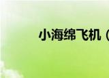 小海绵飞机（小海绵接机baby）