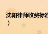 沈阳律师收费标准2022（沈阳律师收费标准）