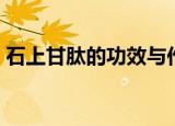 石上甘肽的功效与作用（石上甘肽是什么药）