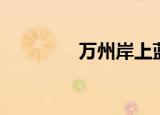 万州岸上蓝山（岸上蓝山）