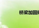 桥梁加固规范（桥梁加固）