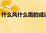 什么风什么雨的成语有哪些（什么风什么雨）