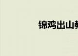 锦鸡出山教案（锦鸡出山）