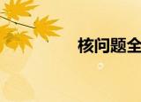 核问题全面协议（核问）