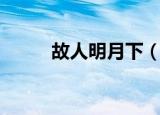故人明月下（相见故明月下一句）