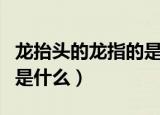 龙抬头的龙指的是什么蚂蚁（龙抬头的龙指的是什么）