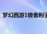 梦幻西游1级舍利子多少钱（舍利子多少钱）
