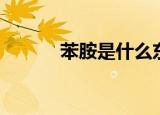 苯胺是什么东西（苯胺是什么）