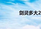 剑灵多大2022（剑灵多大）