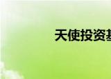 天使投资基金（天使基金）