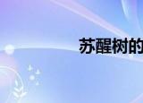 苏醒树的资料（苏醒树）