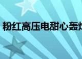 粉红高压电甜心轰炸机谁赢了（粉红高压电）
