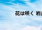 花は咲く 岩井俊二（流木野咲）