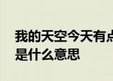 我的天空今天有点灰 我的心是个落叶的季节是什么意思