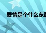 爱情是个什么东西（爱情是种什么东西）