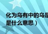 化为乌有中的乌是什么意思?（化为乌有的乌是什么意思）