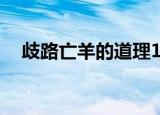 歧路亡羊的道理10字（歧路亡羊的道理）