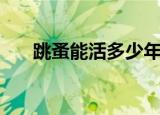 跳蚤能活多少年（跳蚤的寿命有多长）