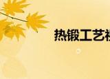 热锻工艺视频（热锻工艺）